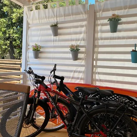 Mendula Ii * Biograd Na Moru